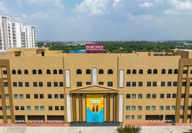 国际教育最佳时机：专家解析各年龄段优劣势与科学规划指南